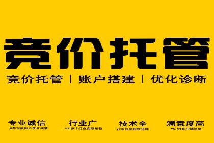 百度竞价推广成功案例解析